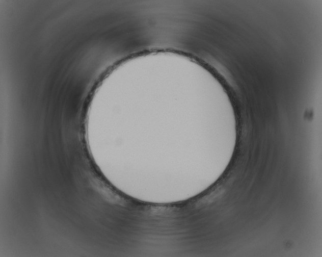 X0000093440832200710120944