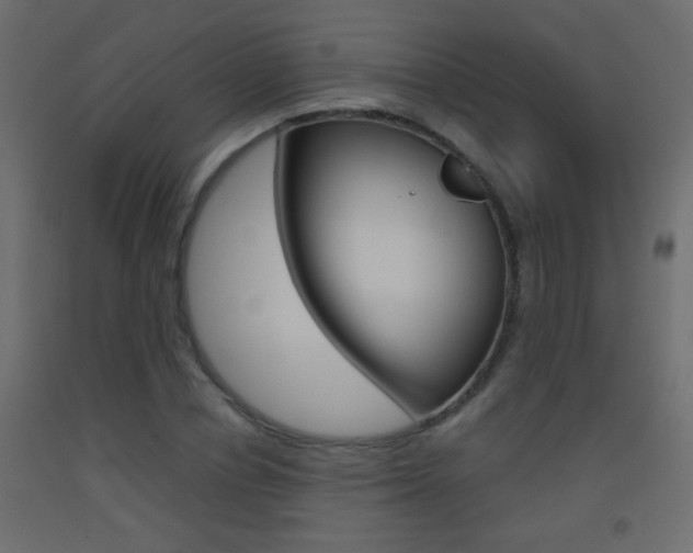 X0000093440834200710120944