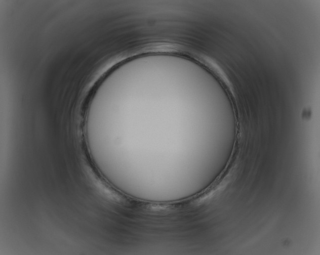 X0000093440835200710120944