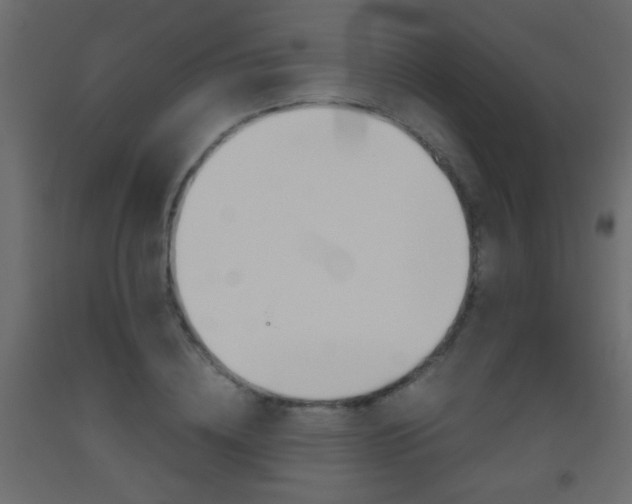 X0000093440836200710120944