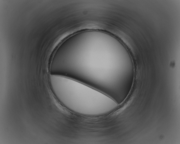 X0000093440837200710120944