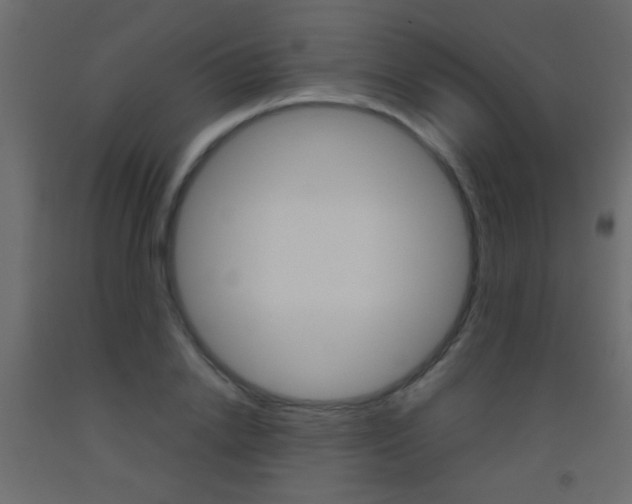 X0000093440838200710120944