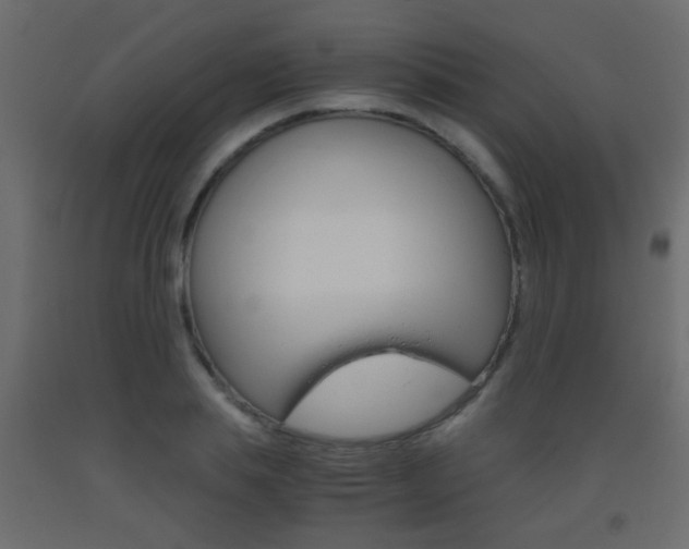 X0000093440839200710120944