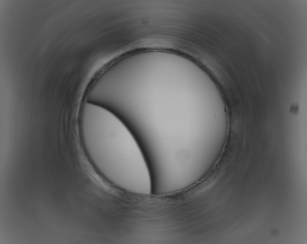 X0000093440840200710120944