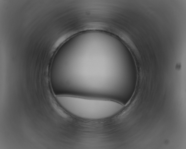 X0000093440842200710120944