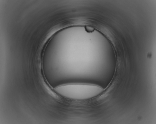 X0000093440843200710120944