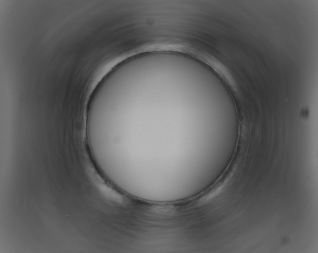 X0000093440844200710120944