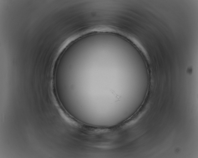 X0000093440845200710120944