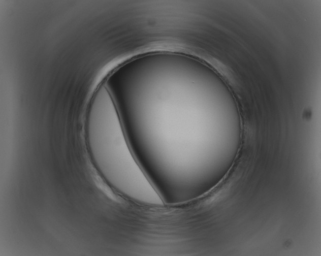 X0000093440846200710120944