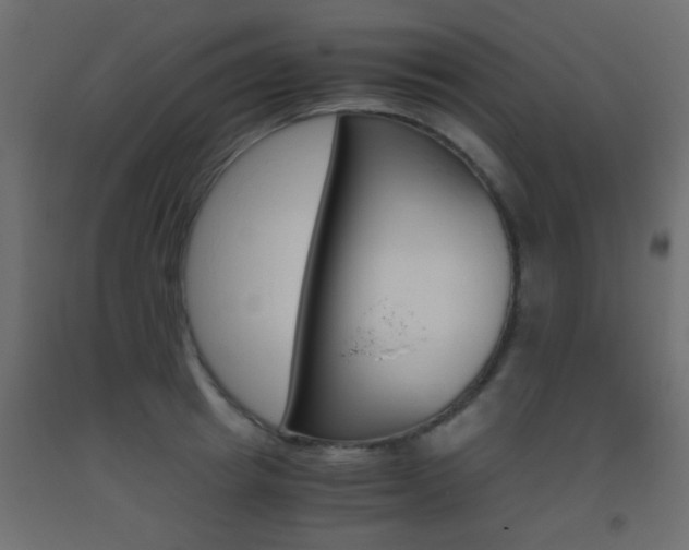 X0000093440849200710120944