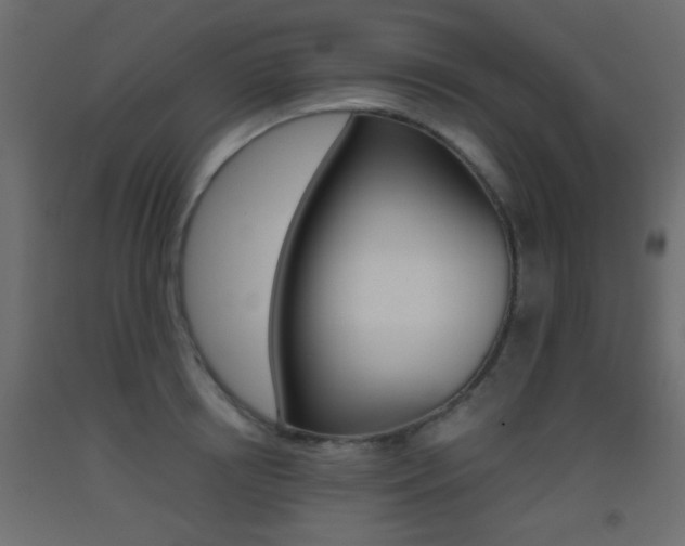 X0000093440850200710120944