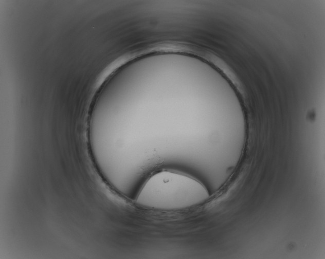 X0000093440853200710120944