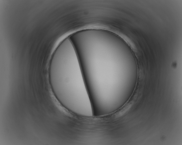 X0000093440854200710120944