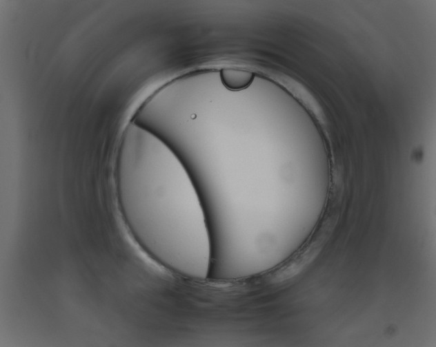 X0000093440855200710120944