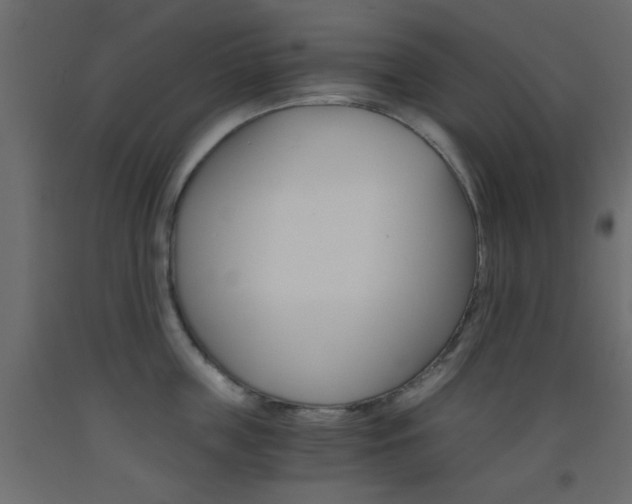 X0000093440859200710120944