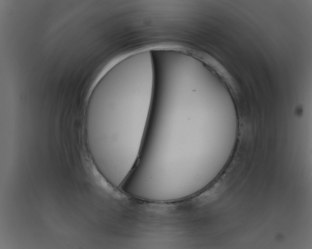 X0000093440860200710120944