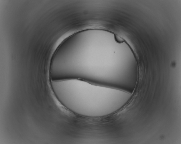 X0000093440861200710120944