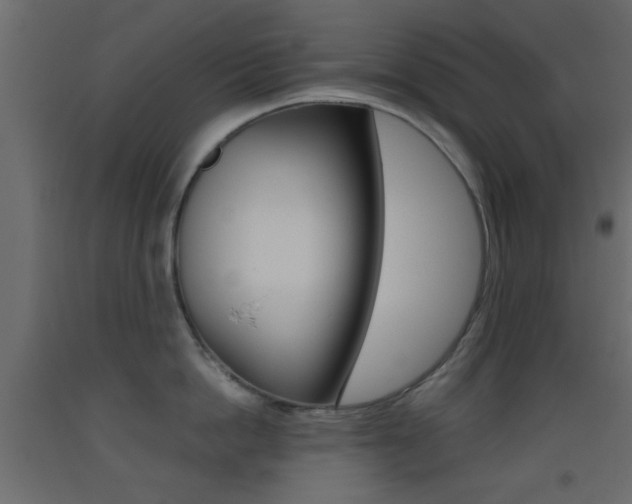 X0000093440862200710120944