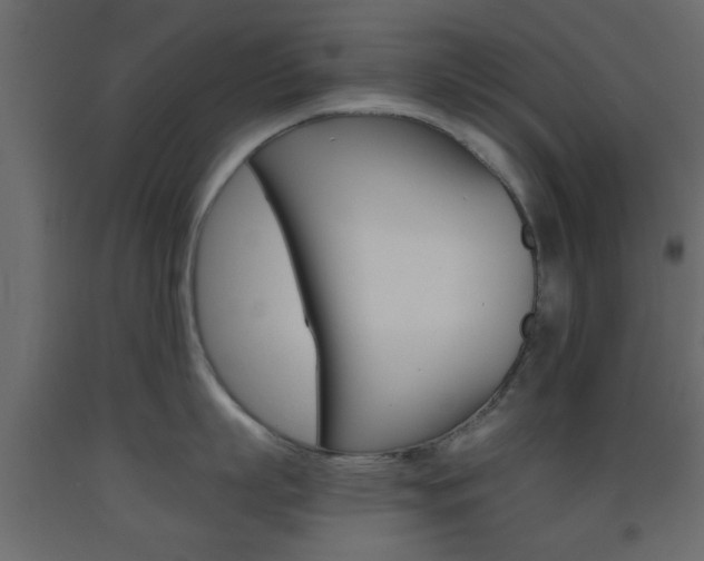 X0000093440863200710120944