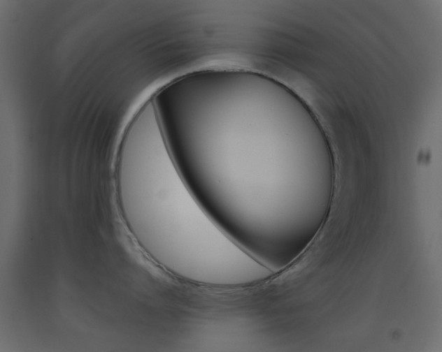 X0000093440864200710120944
