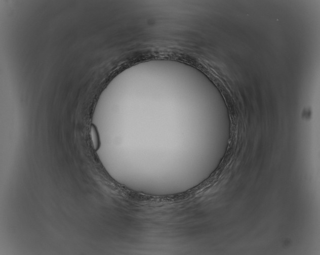 X0000093440865200710120943
