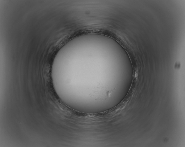 X0000093440867200710120943