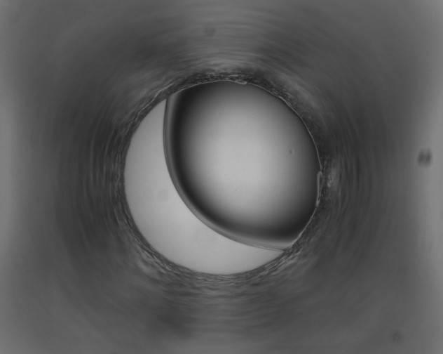 X0000093440868200710120943