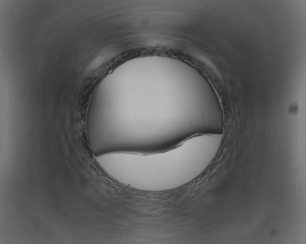 X0000093440869200710120943