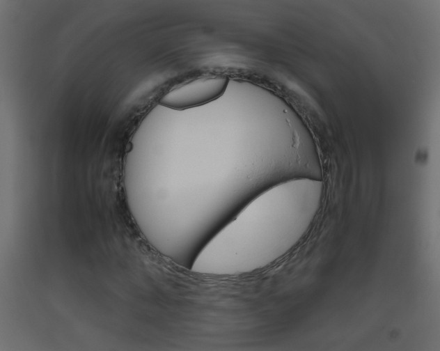 X0000093440870200710120943