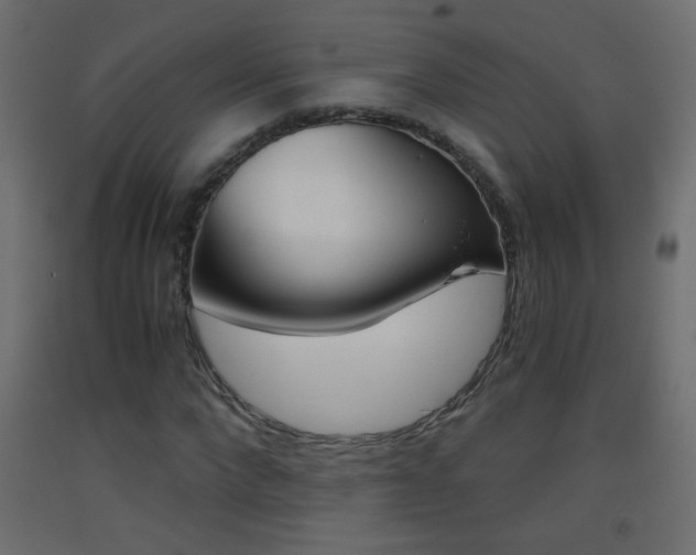 X0000093440872200710120943