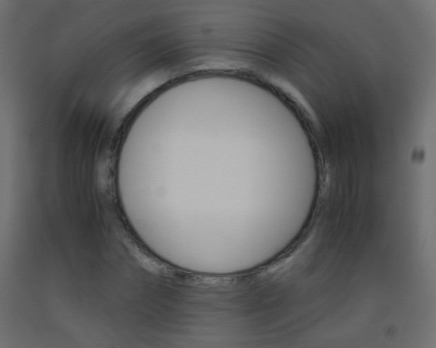 X0000093440874200710120943