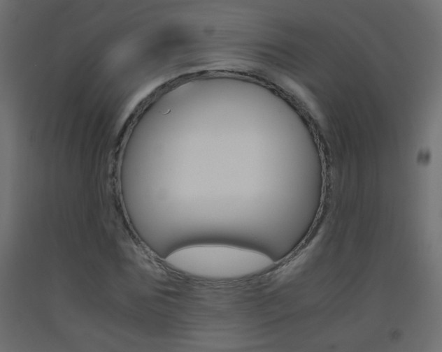 X0000093440875200710120943