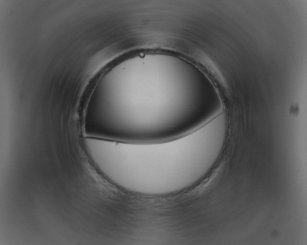 X0000093440876200710120943
