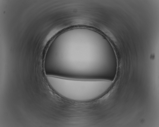 X0000093440877200710120943