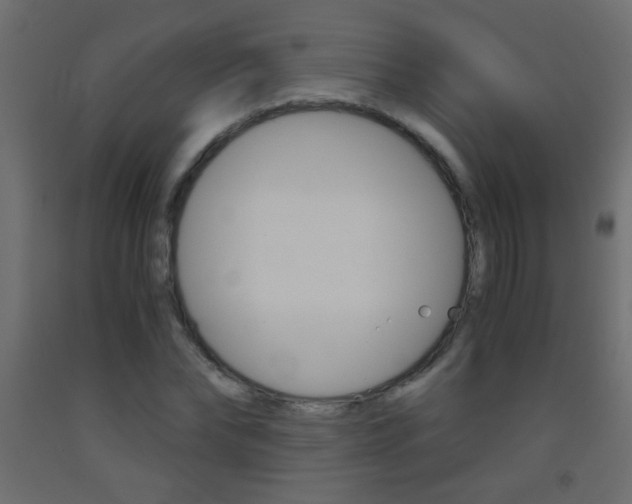 X0000093440878200710120943