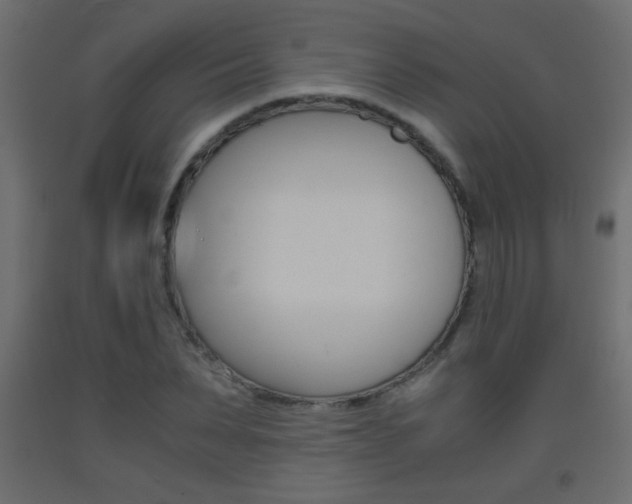 X0000093440879200710120943