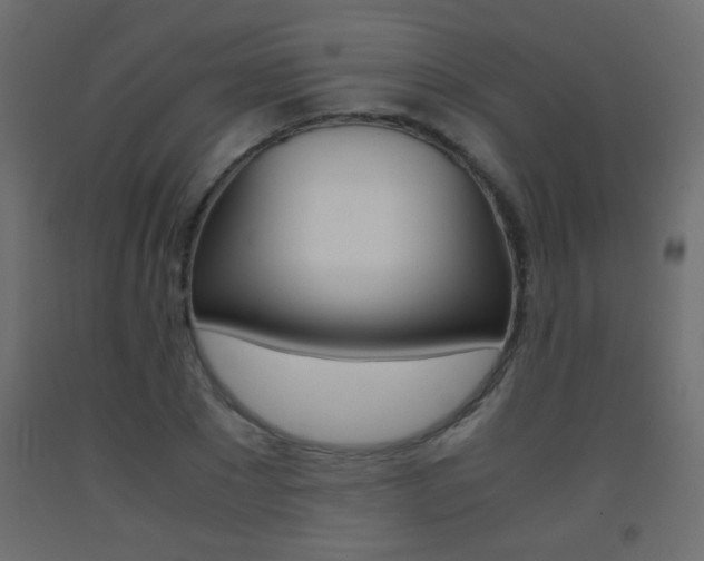 X0000093440881200710120943