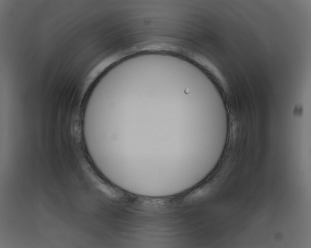X0000093440882200710120943