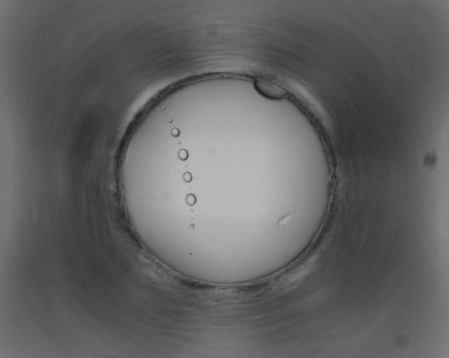 X0000093440883200710120943
