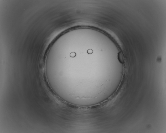 X0000093440887200710120943