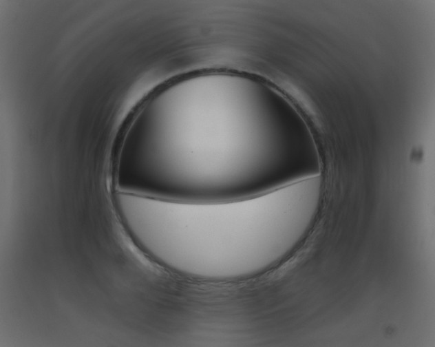 X0000093440888200710120943