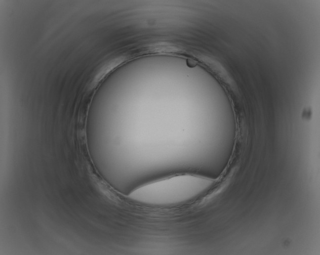 X0000093440889200710120943