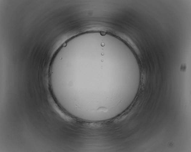 X0000093440890200710120943