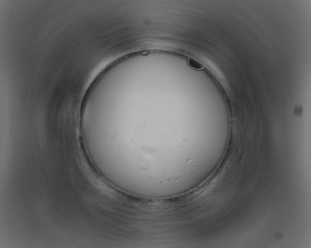 X0000093440891200710120943