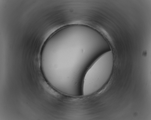 X0000093440892200710120943