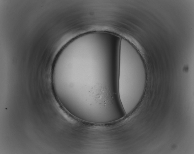 X0000093440894200710120943
