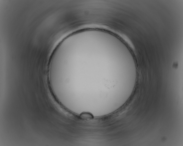 X0000093440895200710120943