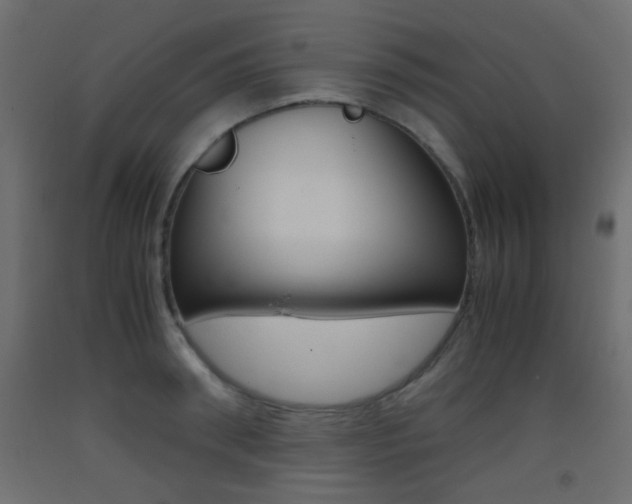 X0000093440898200710120943