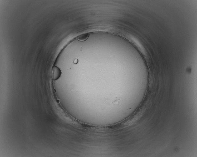 X0000093440899200710120943
