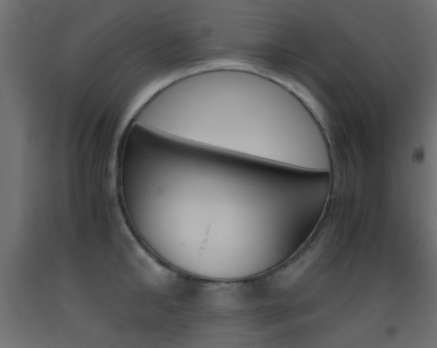 X0000093440902200710120943